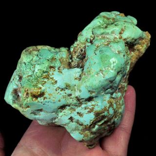 1495.  5ct 100 Natural Brain Turquoise Nugget Intact Specimen Yscg24