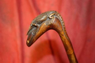 Rare Antique Hand Carved Reptile/gator Cane W/strong Close Grain Hardwood Shaft