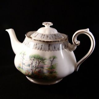 Vintage Royal Albert " Silver Birch " Large Teapot Bone China England