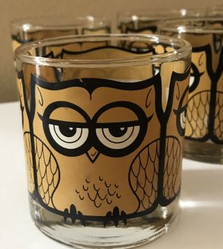 Vintage Mid Century Owl Low Ball Drinking Glasses Set of 8 signed M Petti 4