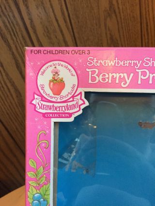 Vintage Strawberry Shortcake Berry Princess Berrykin MIB 7