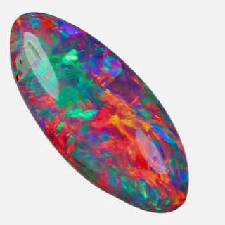 1ct Natural Australian Found Doublet Shell Opal Fossil Specimen Ssbkt134