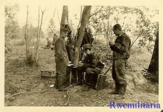 RARE: German Elite Waffen Troops Resting in Woods; Camo Smocks Worn 2