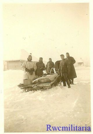 Harsh Duty Bundled Wehrmacht Troops In Russian Winter W/ Horse Sleigh