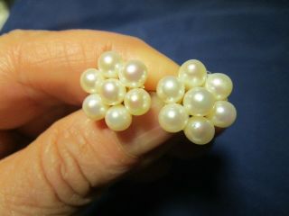 Vtg 14k Gold Designer Mikimoto Quality Akoya Pearl Stud Earrings