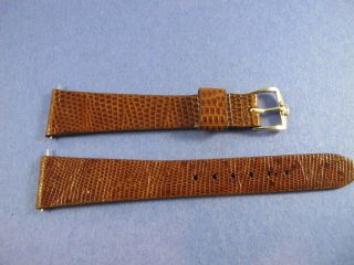 Omega Old Stock Vintage Lizard Strap And Buckle