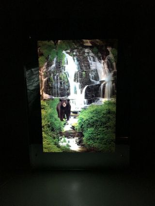 Vintage Light Up Waterfall Motion & Sound Framed Picture Bear Bird Sounds Rare
