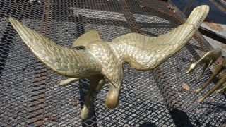 Vintage Large Brass Eagle Falcon Figurine Statue 25 " Wing Spam