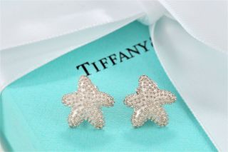 Rare Tiffany & Co.  Sterling Silver Small Bumpy Starfish Stud Earrings