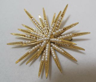 Glorious Vtg Boucher Numbered 0830 Petite Pearl Gold - Plated Starburst Brooch