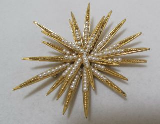 Glorious Vtg BOUCHER Numbered 0830 Petite Pearl Gold - Plated Starburst Brooch 2