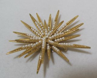 Glorious Vtg BOUCHER Numbered 0830 Petite Pearl Gold - Plated Starburst Brooch 4