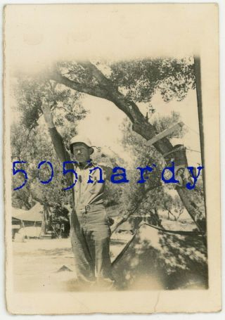 Wwii Us Gi Photo - 213th Aa Mailman Holds Captured Luger To Head W German Helmet