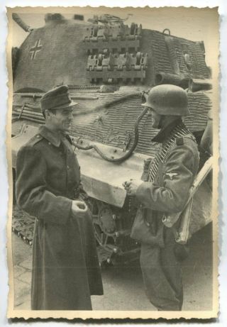 German Wwii Archive Photo: Elite Troops Soldiers With Tiger Ii Konigstiger Tank