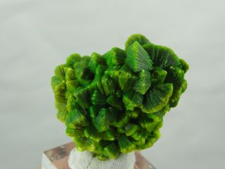 17g Rare Green Autunite On Matrix From China No8008