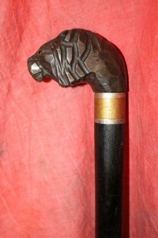 Early Vintage Carved Lion Head Cane W/glass Eyes & Hand Decorated Collar & Tip