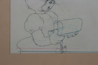 Production Animation Art Cel Tom & Jerry Hanna - Barbera Girl Cat Vintage 3