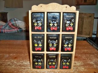 Vintage Spice Rack Jar Set - - 9 Black Cats Shafford Redware - - Japan