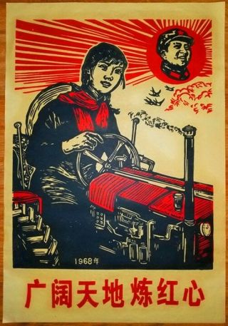 Chinese Cultural Revolution Poster,  C.  1970’s,  Mao’s Political Promotion,  Vintage