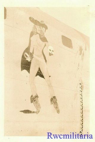 Org.  Nose Art Photo: Us Navy Pb4y Bomber W/ Sexy Buccaneer Holding A Skull