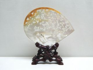 Vintage / Old Chinese Mother of Pearl MOP Shell 