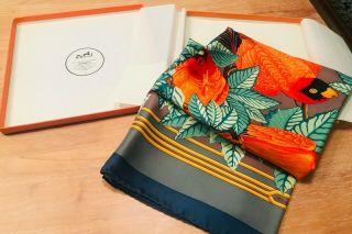 Hermes Les Perroquets - Authentic Vintage Hermes Silk Scarf With Box