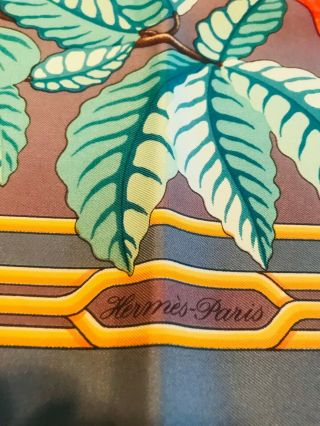 HERMES Les Perroquets - Authentic Vintage Hermes Silk Scarf with Box 8