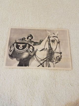 Vintage World War 2 German Postcard Waffen Ss Soldier With Drum On Horse