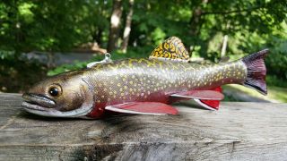 Competition Brook Trout Fish Decoy By Austin Philips - Spearing Lure