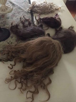 5 Antique And Vintage Human Hair Doll Wigs For German And French Antique Dolls