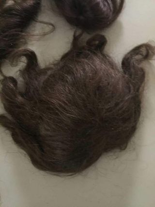 5 Antique and vintage human hair doll wigs for german and french antique dolls 6