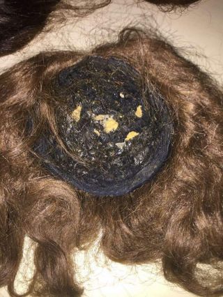 5 Antique and vintage human hair doll wigs for german and french antique dolls 7