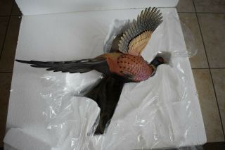 Flying Ring Neck Pheasant Wall Mount Hunting Sculpture Loon Lake Decoy