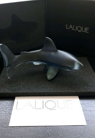 Rare Non Paradise Resort Lalique Shark No Fish,  Grey Shark Figure 10018900 Bnib
