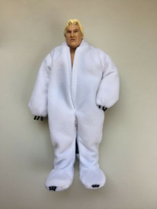 Rare Bobby The Brain Heenan 1/100 Wwe Wwf Jakks Wrestling Figure Weasel Outfit