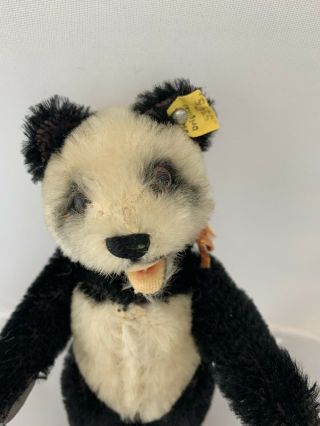 1950’s Rare mohair Vintage Steiff Panda Bear 2
