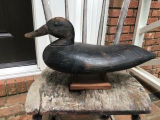 Antique Vintage Old Wooden Md.  Black Duck