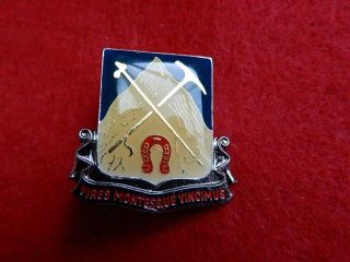 Very Rare 87th Infantry Regiment 10th Mountain Division Dui Di Crest Pin