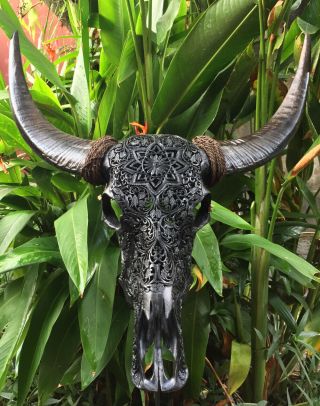 Hugh Real Hand Carved Cow Bull Black Longhorn Skull Rare Animal Carved Skulls