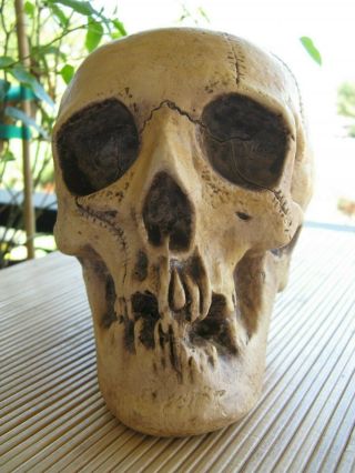 Vintage Randotti " Large " Skull 817 Still Glows In The Dark