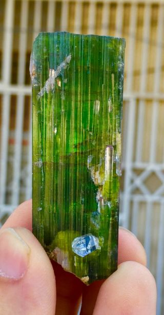249 Ct Very Rare Top Quality Natural Geen Color Tourmaline Crystal