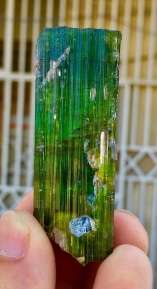 249 CT Very Rare Top Quality Natural Geen color Tourmaline Crystal 2