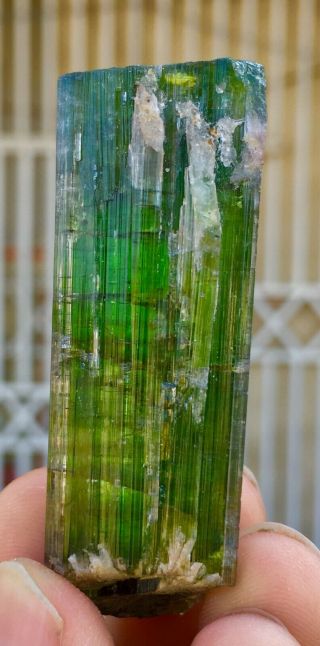 249 CT Very Rare Top Quality Natural Geen color Tourmaline Crystal 3