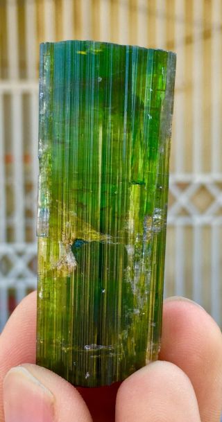 249 CT Very Rare Top Quality Natural Geen color Tourmaline Crystal 4