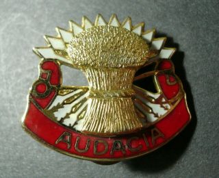 Vintage Rare U.  S.  Army Officers Audacia Canal Zone Service Pin - Estate Find