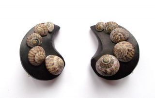 Vintage Victorian Black Jet & Seashell Shell Screw Fastening Earrings