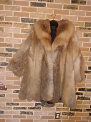 Winter Vtg American Red Fox Coat W/deep Shawl Collar - Size Xxl