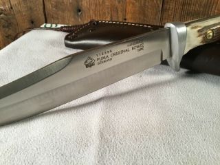 Rare Vintage Puma 6396 Stag Handle Bowie Knife & Sheath - 13/RC Germany 2