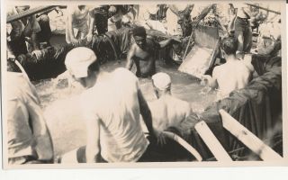 1942 Wwii Uss Dobbin Crossing Equator The Ceremony Photo 13 Royal Bath