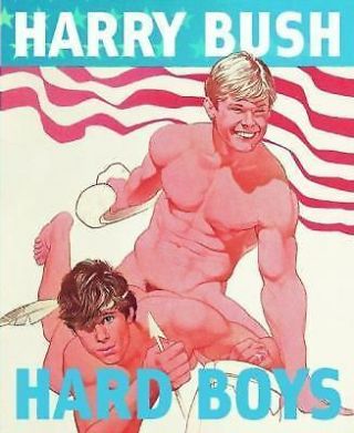 Hard Boys By Harry Bush (2007,  Hardcover) Rare Gay Art